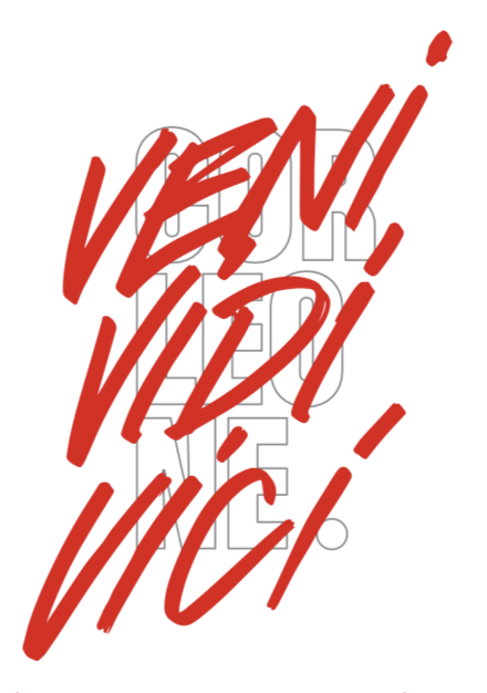 VENİ VİDİ